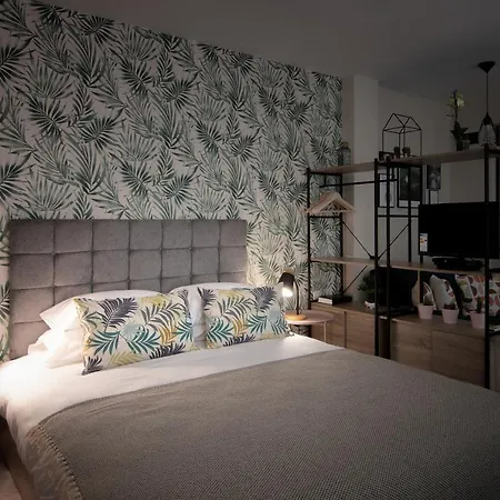 The Cozy Studio, Centre * Varna