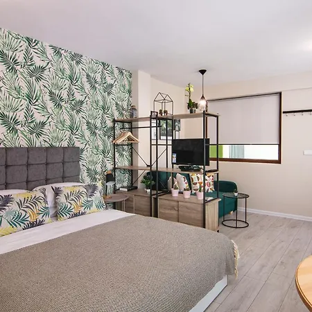 The Cozy Studio, Centre * Varna