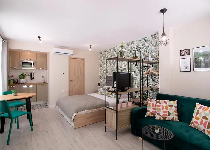 The Cozy Studio, Centre